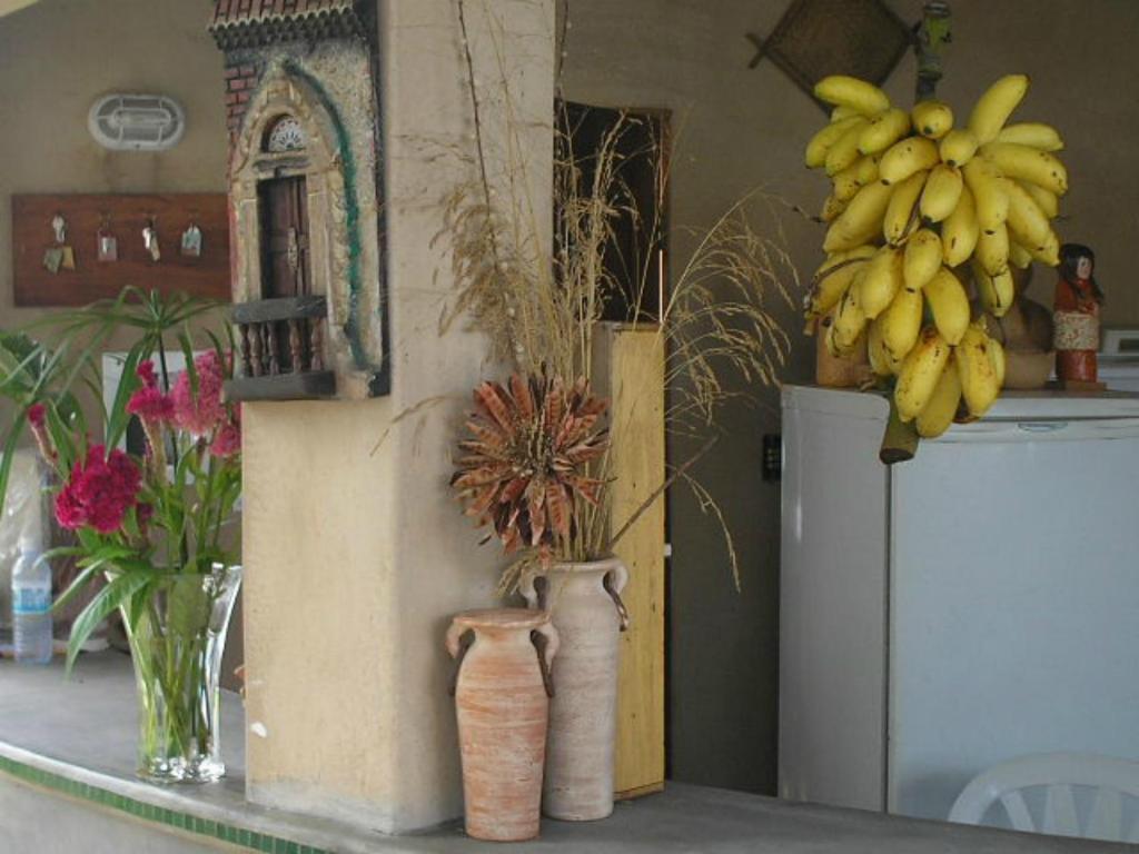 Pousada Dos Cajueiros Paripueira Extérieur photo